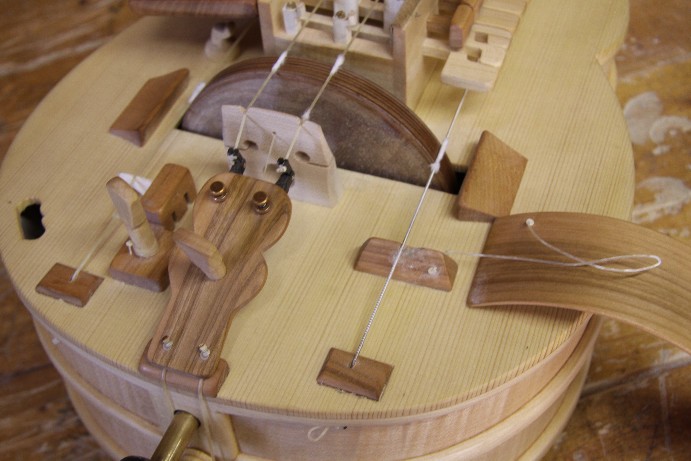 Große Berchtesgadener Leier – Detail